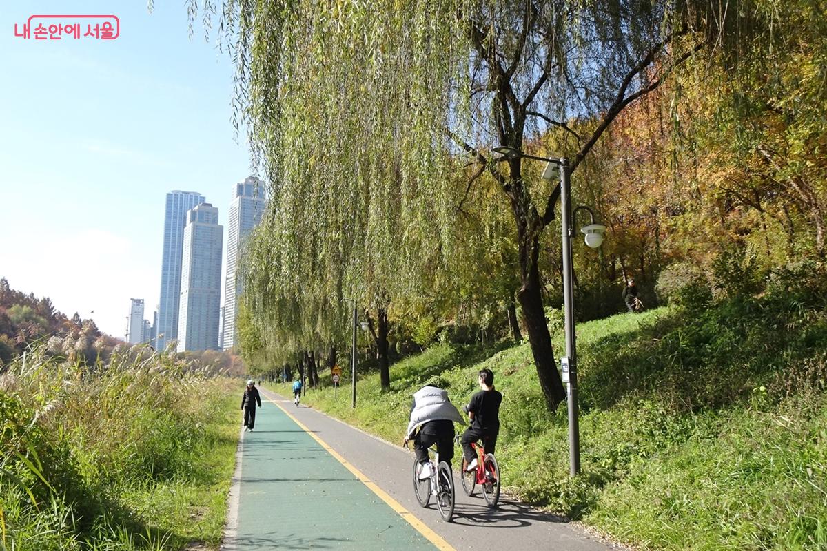 양재천의 자전거도로는 대부분 일방통행길이다. ⓒ김종성 