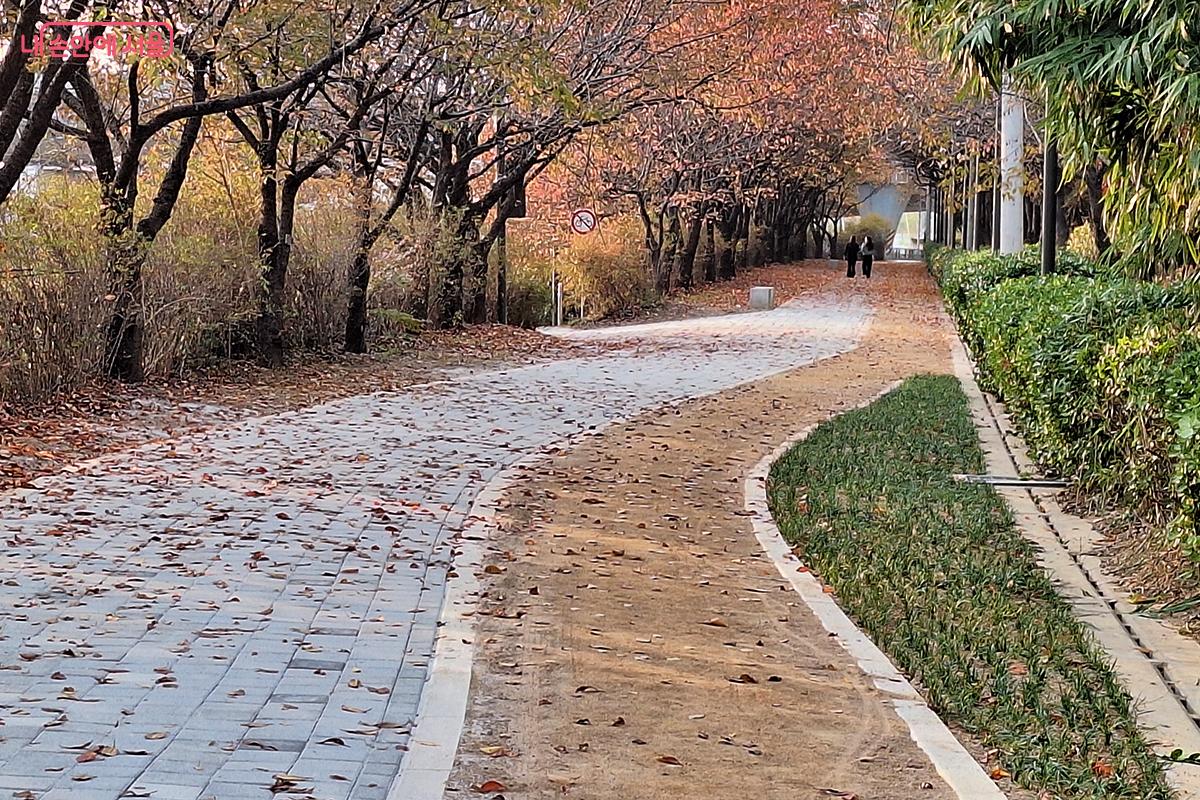 주민들의 건강까지 세심하게 배려한 황톳길 ©이혜숙