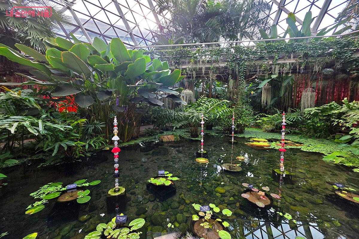 연못 위에 떠 있는 인공물과 자연이 어우러진 최성임 작가의 ‘줄기’ ©이정민