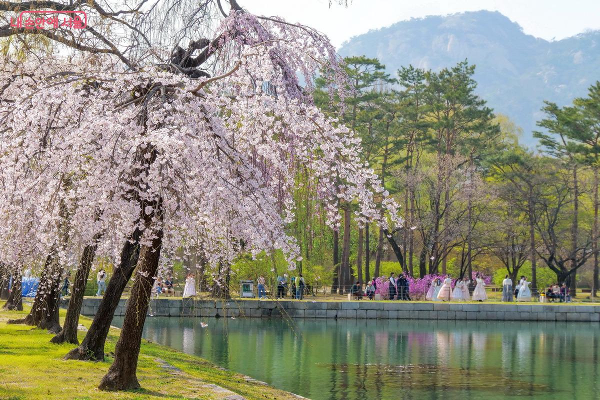경회루 연못을 두고 많은 관람객이 사진을 찍고 있다. ©박성환