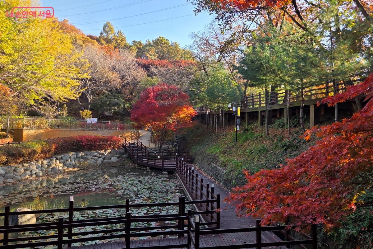 나무 데크가 조성돼 산책하기 좋은 아차산 생태공원의 습지원 &copy;김미선