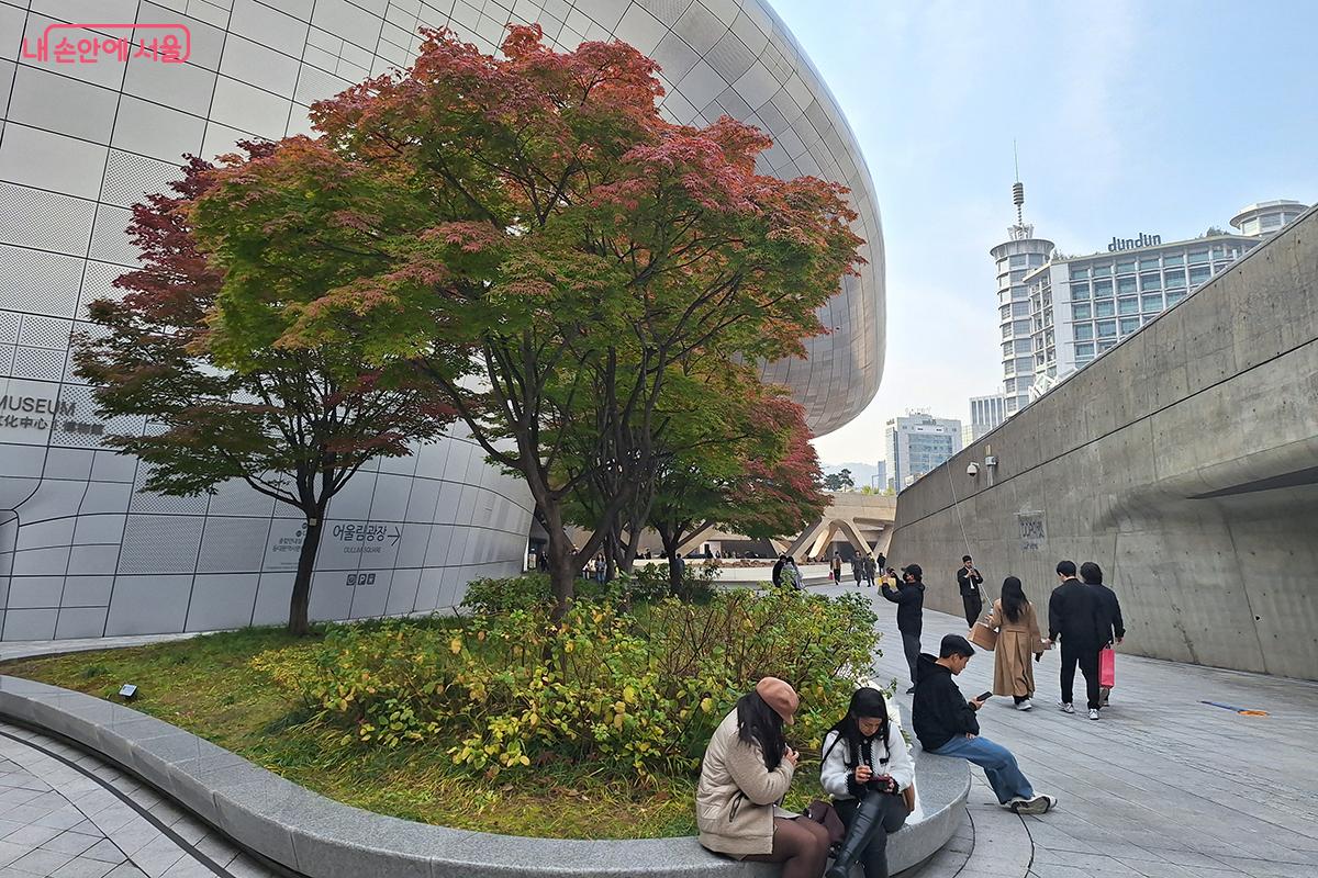 회색빛 도시 속에서 DDP를 감싸 안은 단풍이 가을의 온기를 전한다. ©이혜숙