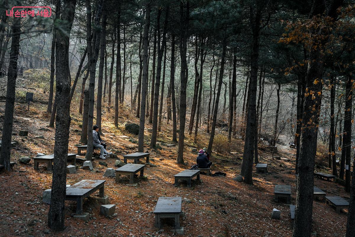 ‘명상의 잣나무숲’ 쉼터 ©김아름