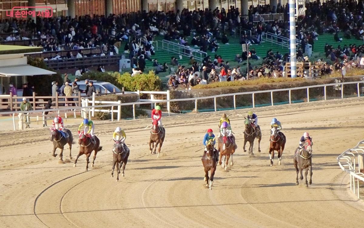 서울경마공원의 공식 이름은 '렛츠런파크 서울'이다. &copy;김종성