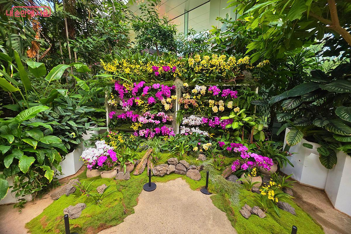 다양한 난초로 꾸며진 포토존 ©이정민