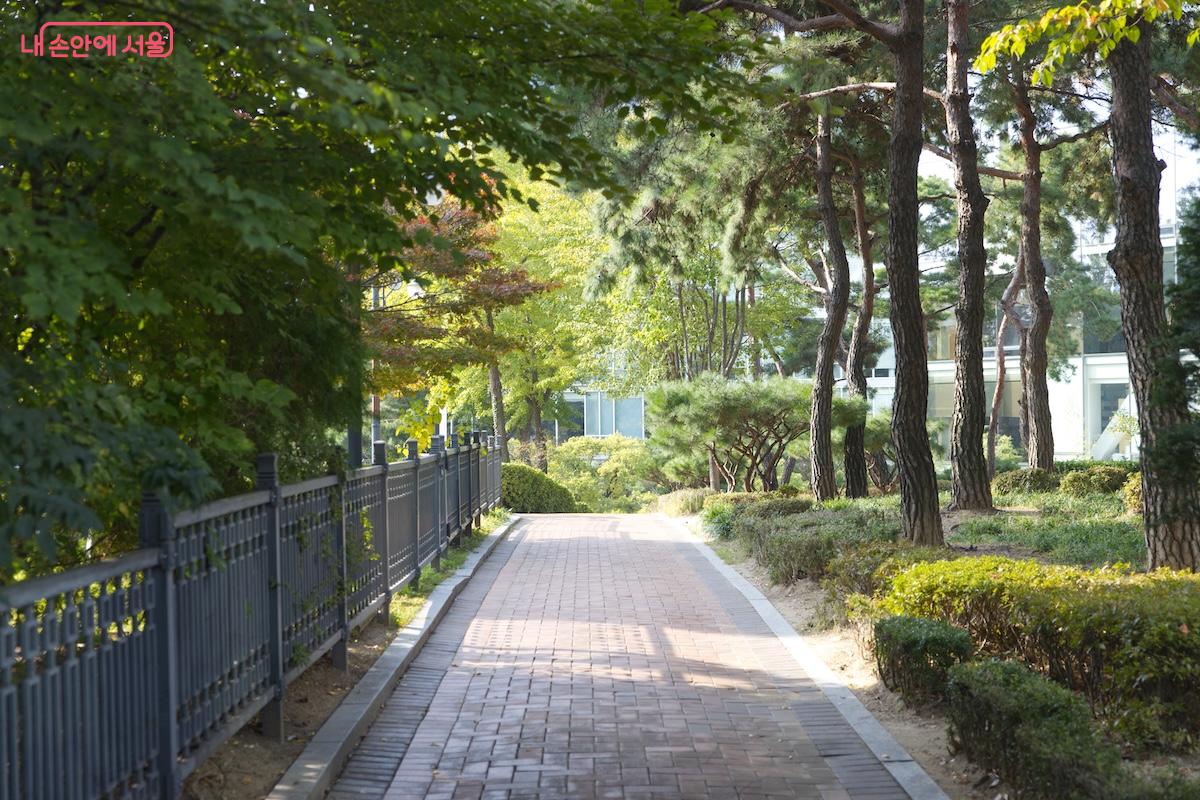 이번에 특별 개방이 진행 중인 '구(舊) 조선저축은행 중역사택'으로 향하려면 먼저 고종의 길로 진입해야 한다.©임중빈 