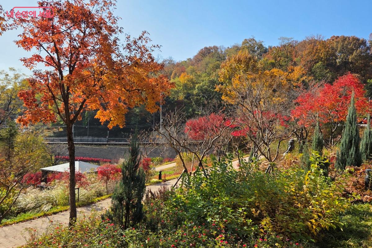 정원 곳곳에 퍼걸러, 나무 의자 등 쉴 곳이 마련됐다. &copy;김미선