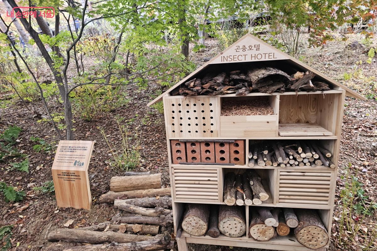부러진 나무나 겨울 습설로 발생한 피해목을 쌓아 만든 곤충호텔들을 구경하는 재미도 있었다.ⓒ염지연