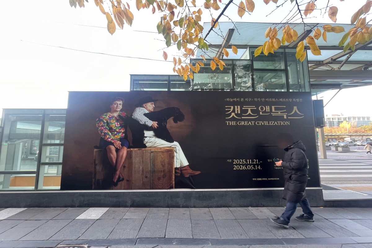 도심 속 비밀공간, 여의도 지하벙커에서 만나는 '캣츠 앤 독스' 사진전