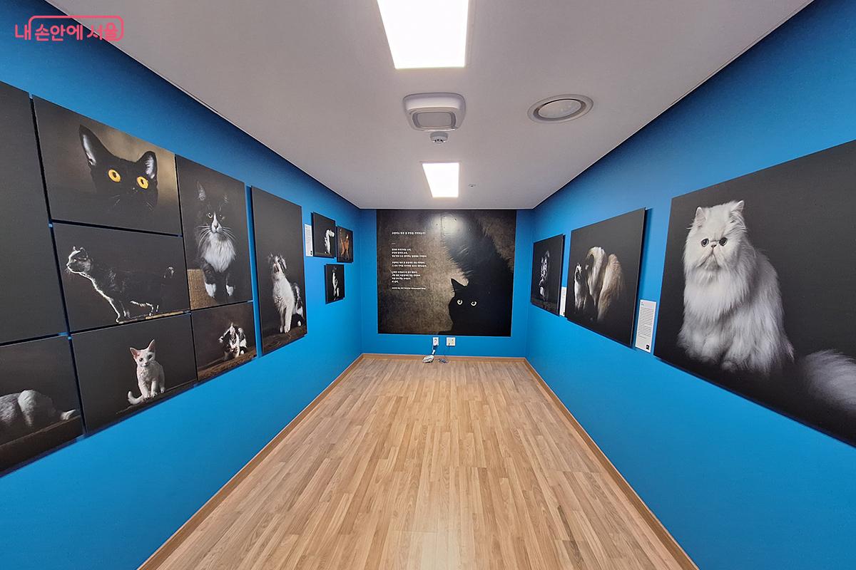 도시와 문화 상상이 융합된 여의도 지하벙커, 서울시가 선보이는 혁신적 공공공간 활성화 모델이다. ©이혜숙