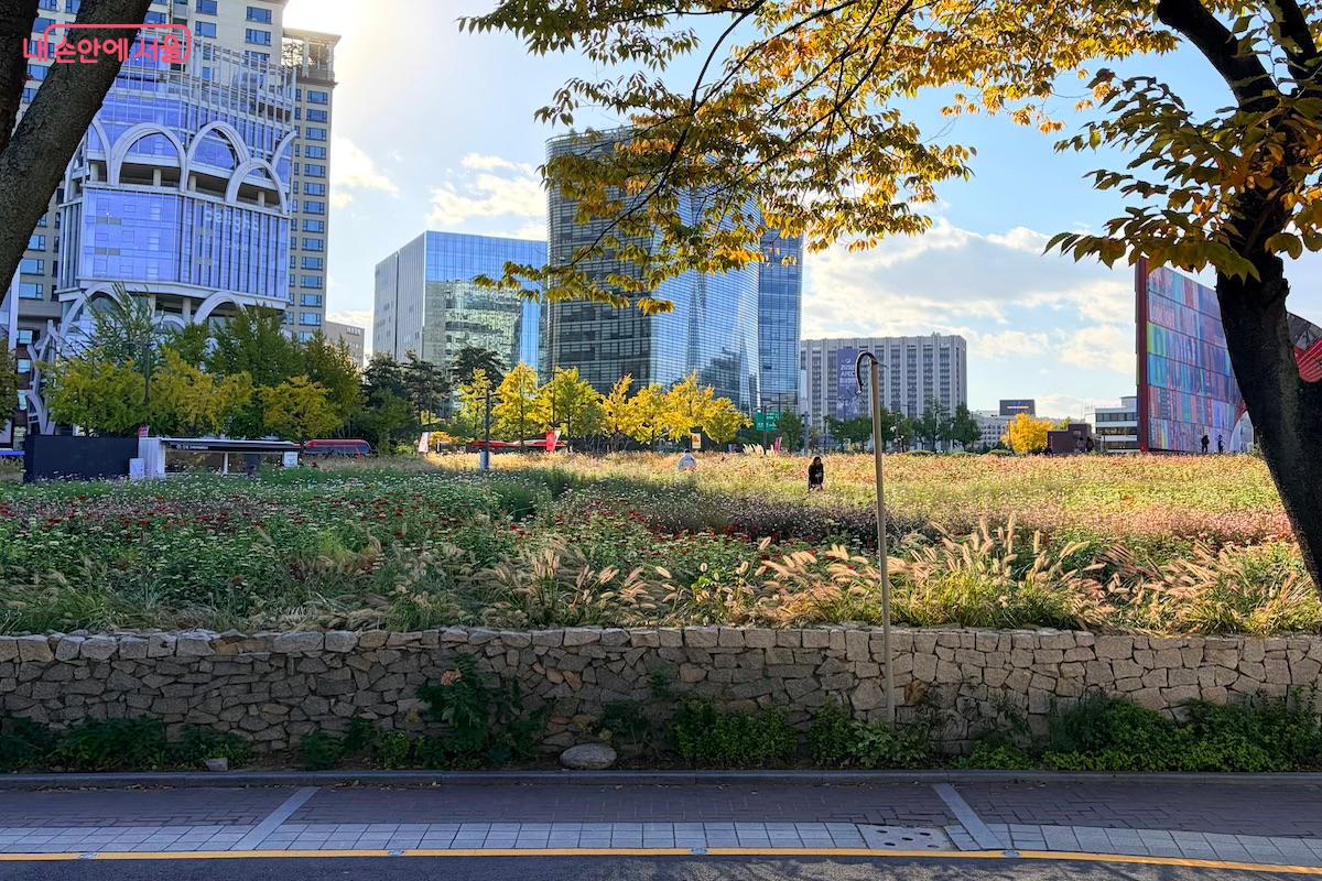 서울공예박물관은 열린송현녹지광장 바로 옆에 위치해 있다. &copy;이종빈