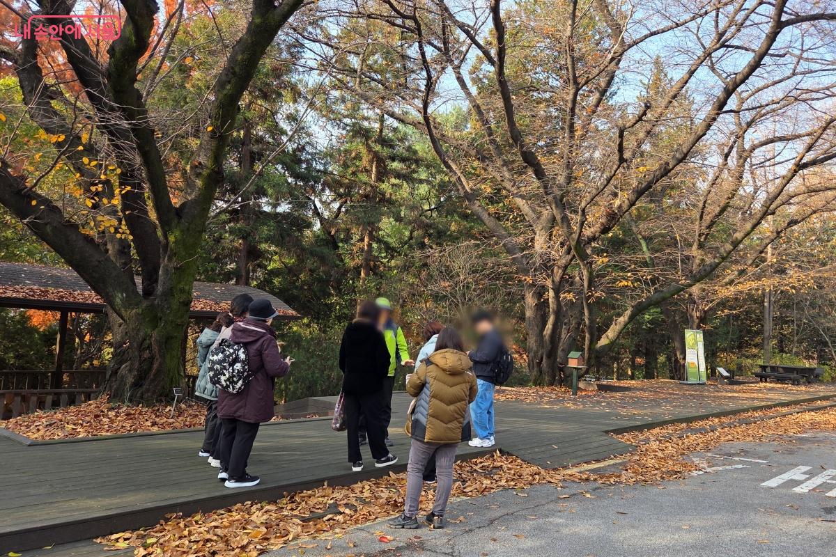 주말 해설은 왕벗나무 앞에서 2회차(10:30, 14:30) 진행으로 자유롭게 참여하면 된다. ⓒ김미선