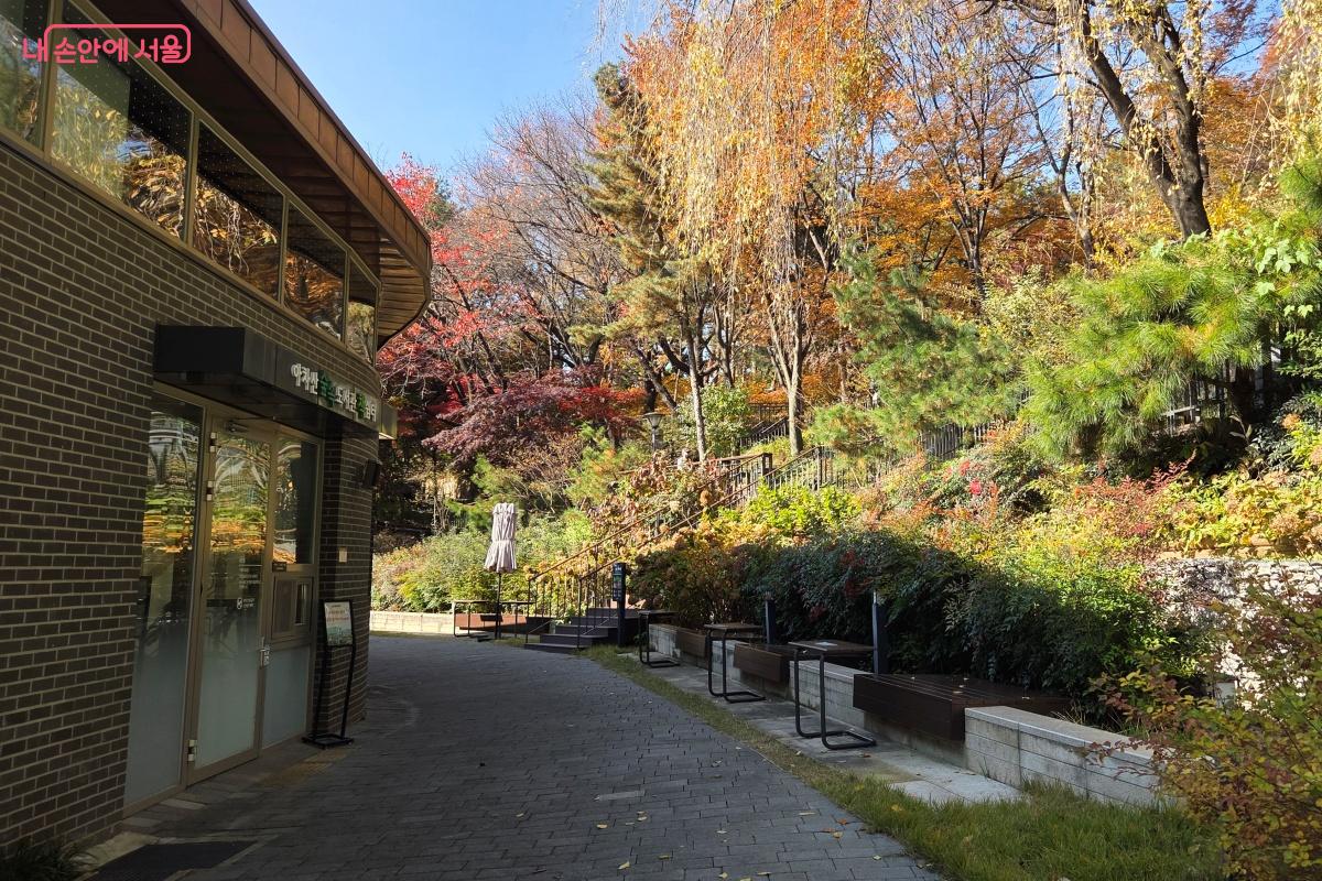 숲속에서 여유로운 시간을 즐길 수 있는 &lsquo;아차산 숲속책마당&rsquo; &copy;김미선