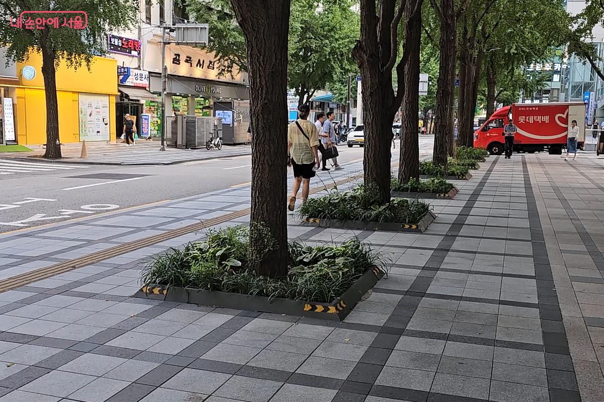 서울시청 뒤편 도로변 한뼘정원 ©오도연