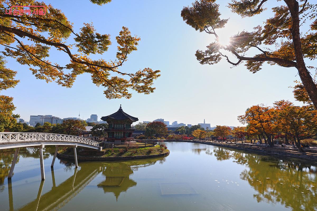 이 가을 놓쳐서는 안 될 향원정 나들이 ©김주연