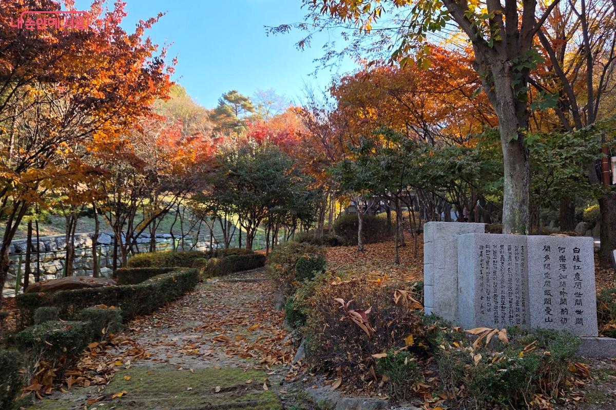 서거정 선생의 정취를 느낄 수 있도록 그의 호를 따서 이름이 지어졌다. ©김미선