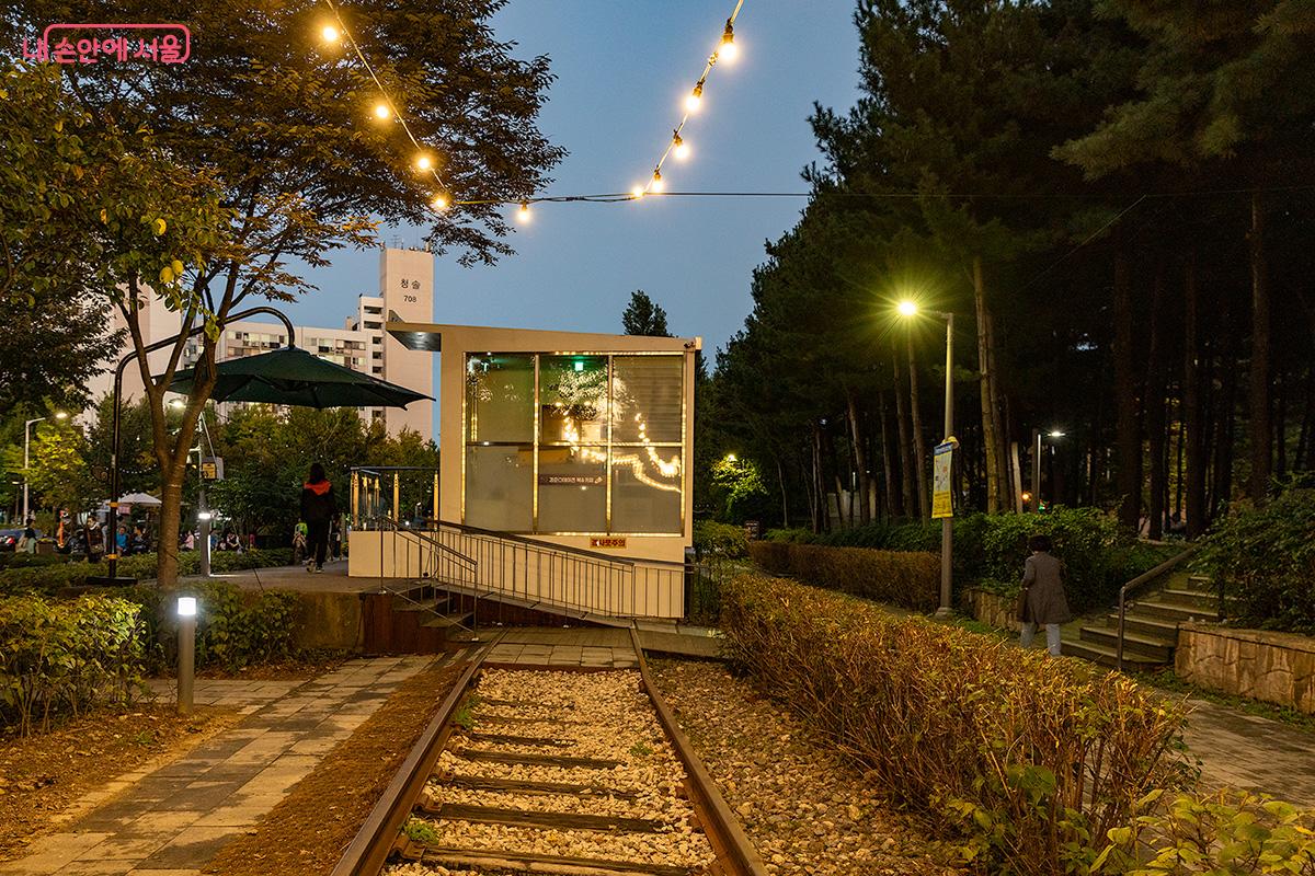 조용한 숲길에 은은한 조명이 더해지면, 마치 영화 속 한 장면처럼 감성이 물든다. ©문청야