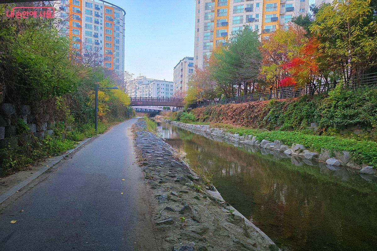 서울둘레길 16코스로 이어지는 구파발천 산책로 ©이정민