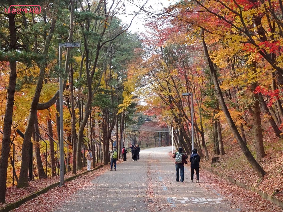 늦가을 정취 가득한 동물원 둘레길 &copy;김종성