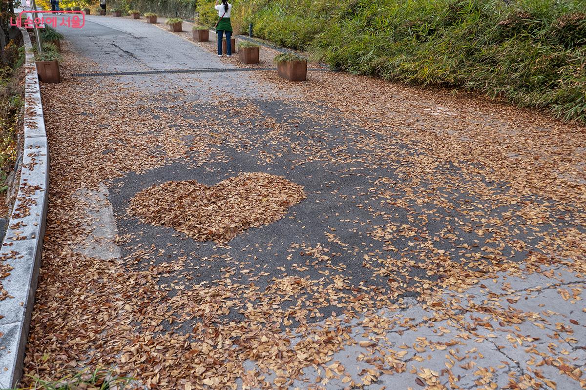 내리막길에서 낙엽을 모아 하트를 만들어 봤다. &copy;이진형