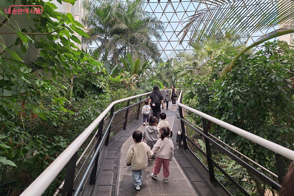 서울식물원 스카이워크 위에서 펼쳐지는 생명의 숨결 속, 아이들과 어른들이 함께하는 평화로운 자연 산책 ©정향선