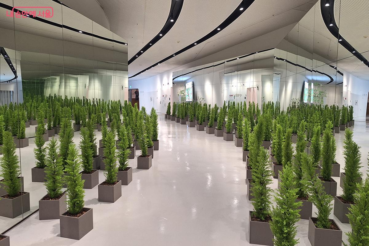 거울과 초록이 맞닿은 환상의 정원 ©이혜숙