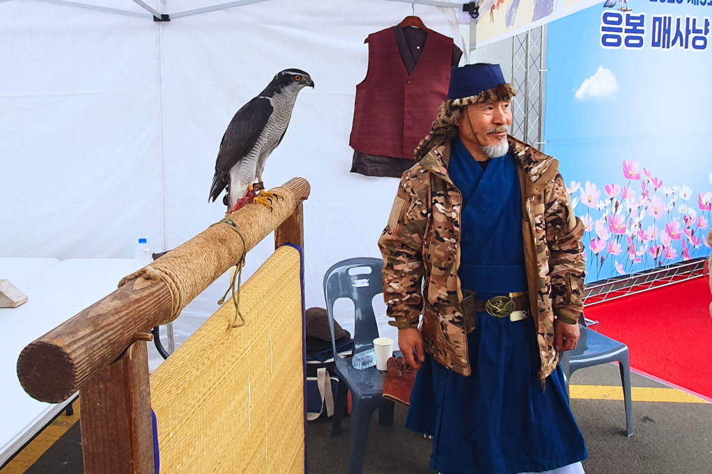 &quot;내 팔 위에 매가?&quot; 오감만족 &#39;응봉 매사냥 축제&#39; 현장