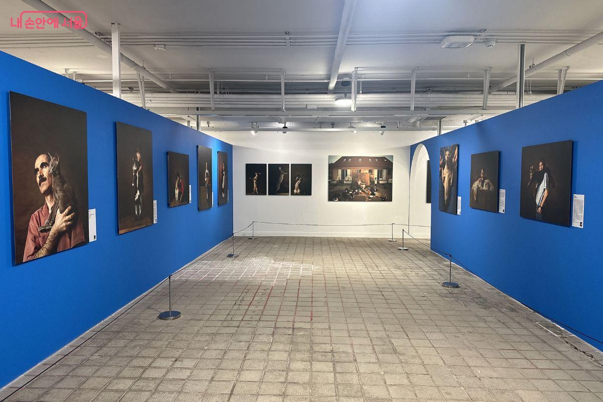 이번 전시는 동물들과의 역사와 현대 사회에서 관계의 의미를 재조명한다. ©김재형