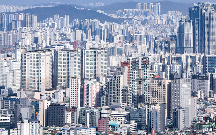 2025년 11월 14일 금요일 [5555호]