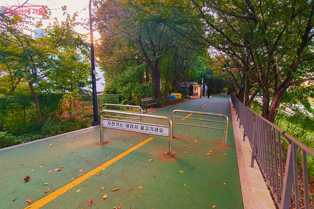 송정제방길의 녹색 우레탄 포장 산책로 전경. 길게 뻗은 산책로 중앙에는 노란색 실선이 그어져 있고, '자전거는 내려서 끌고 가세요'라는 안내판이 설치되어 보행자와 자전거 이용자 모두의 안전을 고려했다. ©양정화