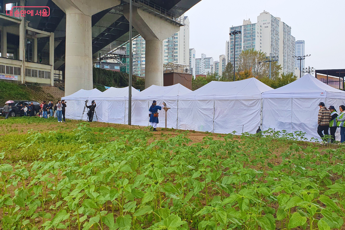 매사냥 시연을 보기 위해 모여든 시민들과 취재진 ©양정화