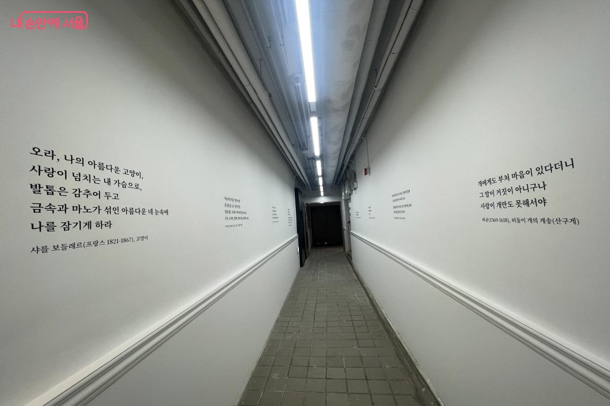 멋진 사진 작품들의 매력에 빠져 걷다가 마주하게 되는 좁은 복도 ©이정민  