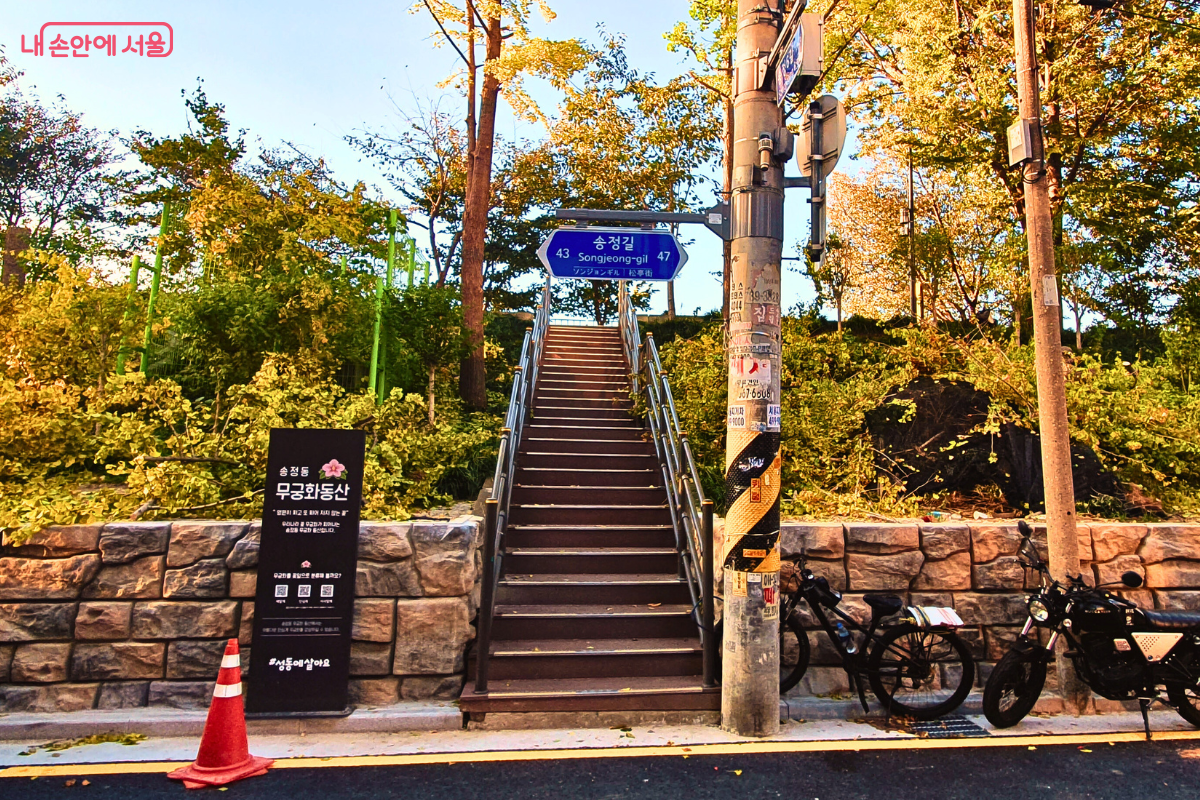 송정동 주택가 도로변에서 '송정제방길'로 바로 올라갈 수 있도록 설치된 나들목 계단의 모습. 계단 입구에는 '송정동 무궁화동산' 안내판과 '송정길 43' 도로명주소 표지판이 보이며, 주민들의 접근성이 좋음을 보여준다. ©양정화