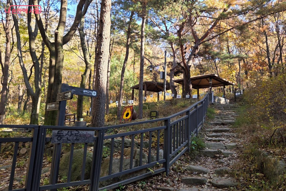 사가정 유아숲체험원 옆으로 지나가는 길 돌계단을 지나간다. ©김미선