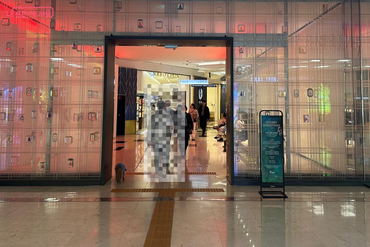 동반견 출입이 가능한 IFC몰 ©김재형