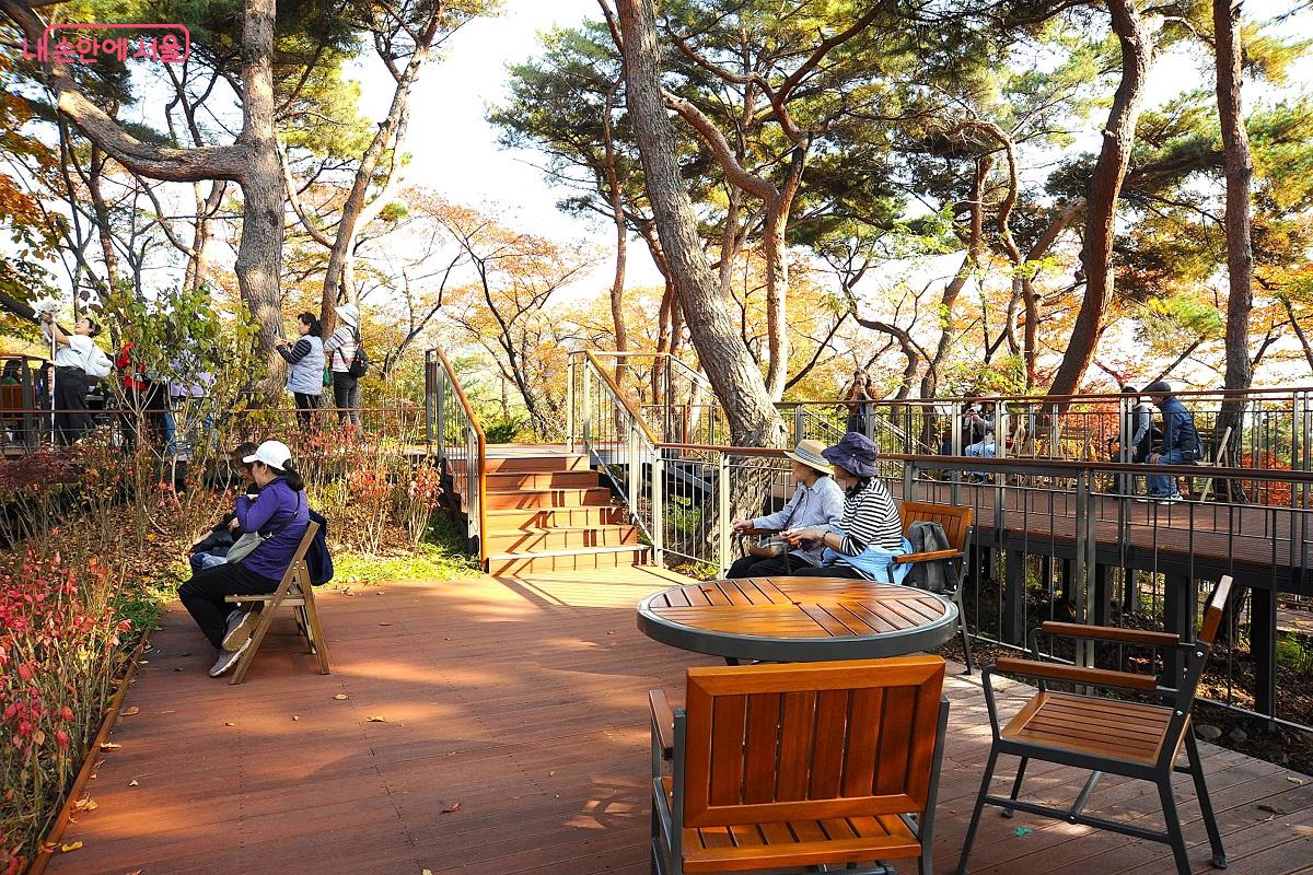 ‘건강정원’에 조성한 매력포인트인 ‘소나무쉼터’에서는 삼림욕을 즐길 수 있다. ©조수봉