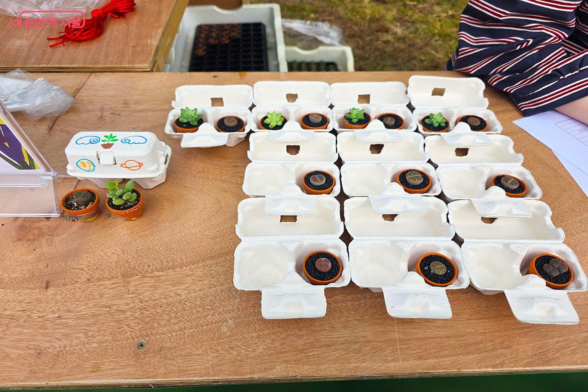 달걀판을 색칠하는 ‘작은 숲, 다육이 정원 체험’ ©이정민