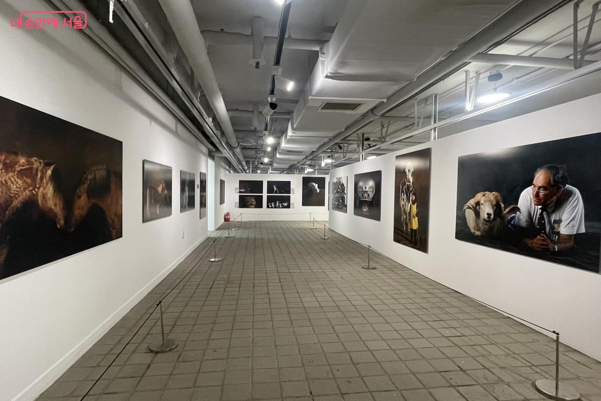 낮은 천장을 가득 채운 파이프들을 노출시킨 모습이 인상적인 여의도 지하벙커 내부 ©이정민