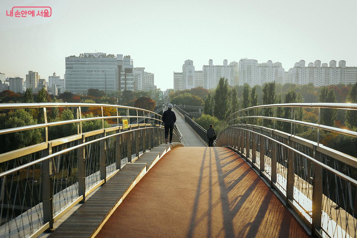 새 천년을 맞이해 서울시와 프랑스 2000년 위원회의 공동 기념 사업으로 건설한 보행자 전용 다리인 &lsquo;선유교&rsquo; &copy;김아름