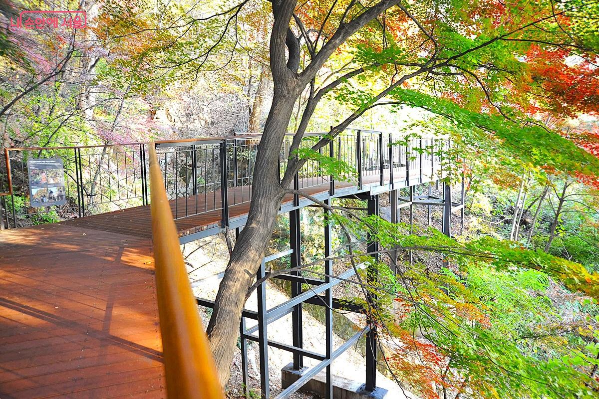 남산 골짜기를 가로지르는 ‘하늘전망다리’ ⓒ조수봉