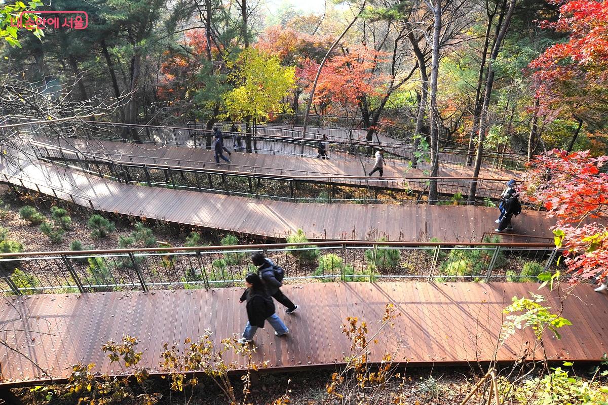 벚나무전망대에서 본 하늘숲길 ⓒ조수봉