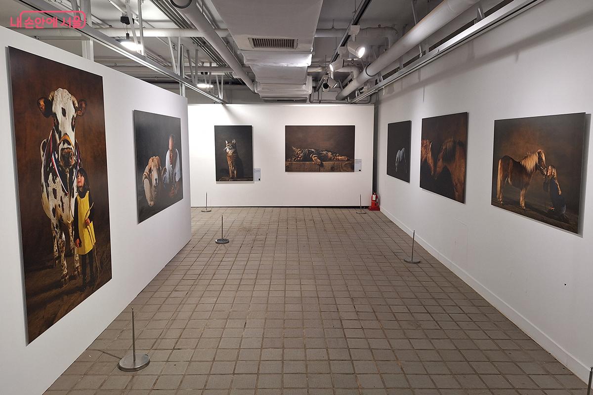 2015년 첫 개방 후, 2017년부터 지난해까지 서울시립미술관 분관으로 운영되며 지하벙커는 시민의 품으로 돌아왔다. ©이혜숙