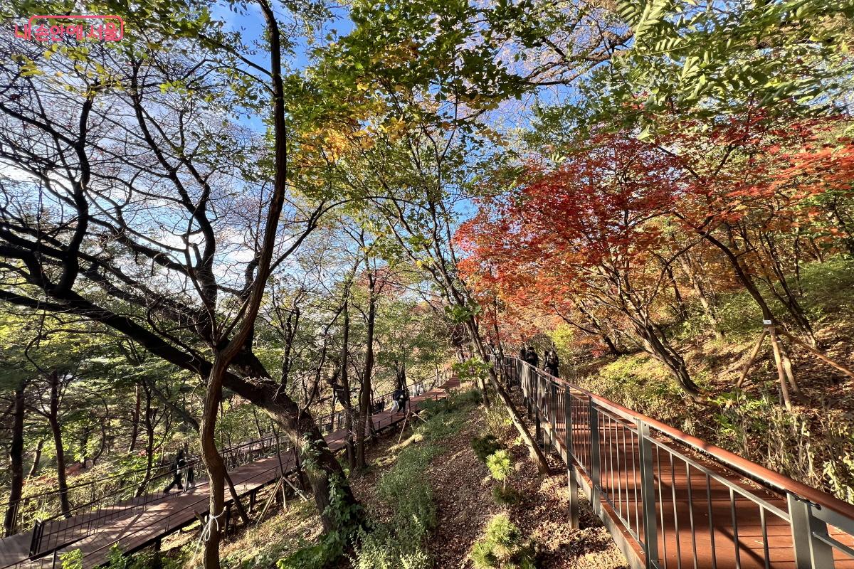 주변 소음이 차단되어 산책에만 오롯이 집중할 수 있다. ©박지영
