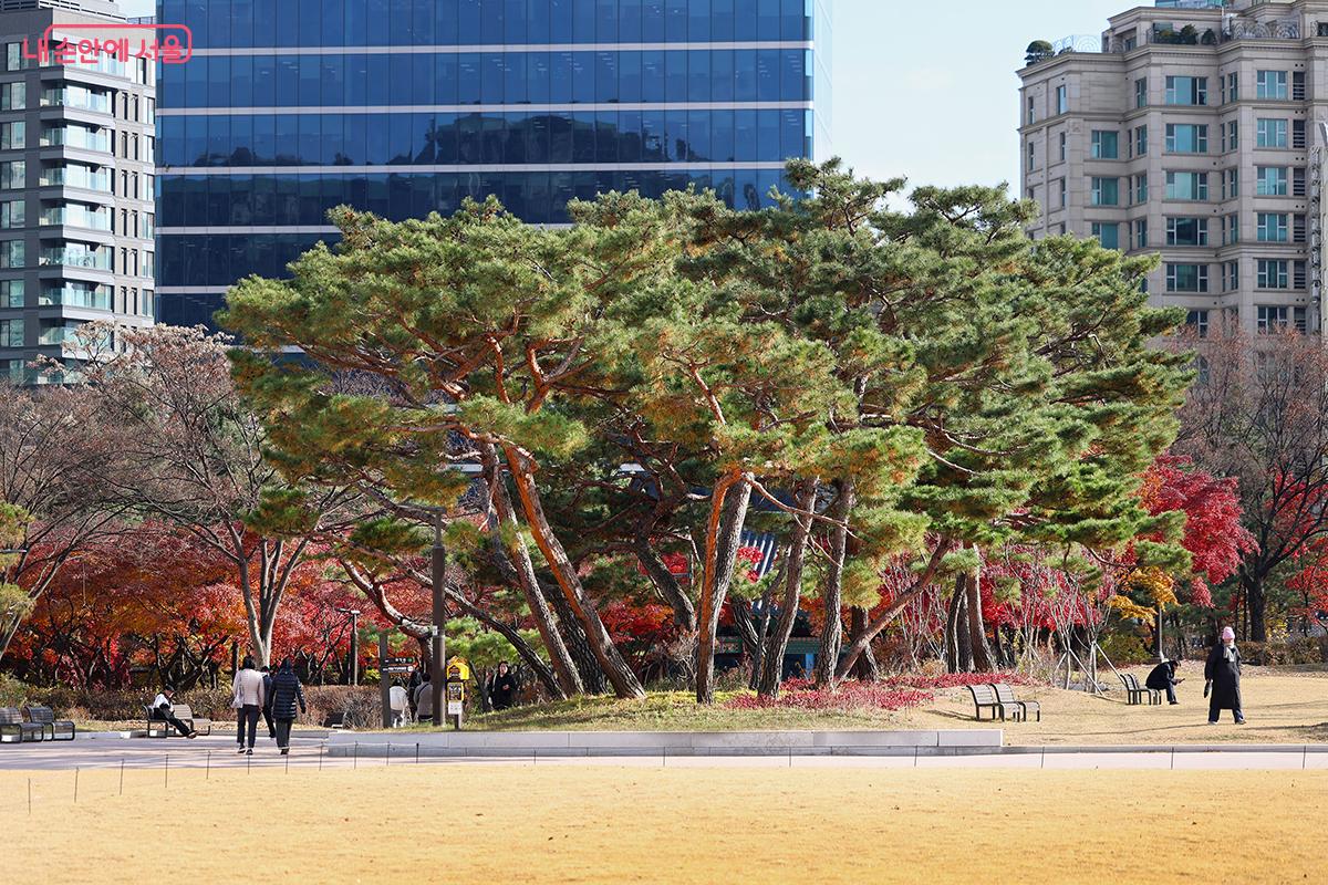 공원처럼 여유로운 산책을 즐길 수 있는 경희궁 터 녹지 공간 ©김주연