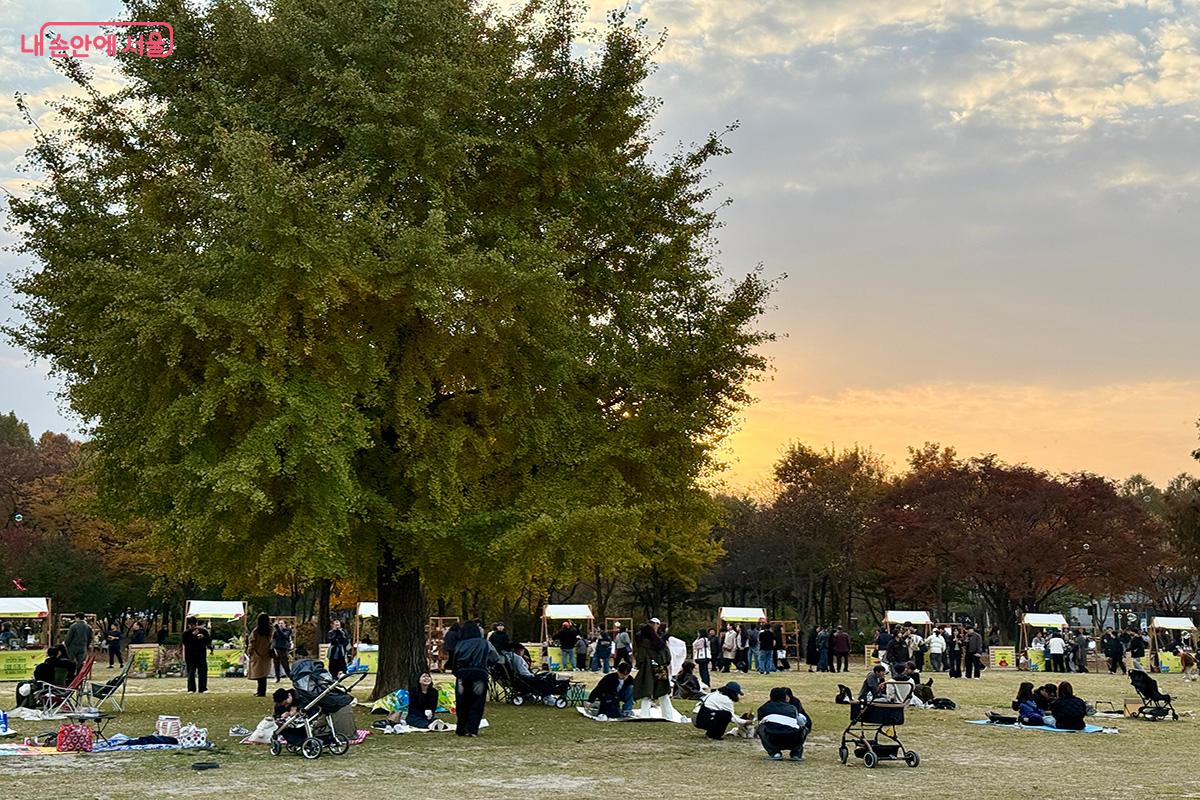 가족마당 은행나무 아래에서 가을을 만끽하는 시민들 ©김미정