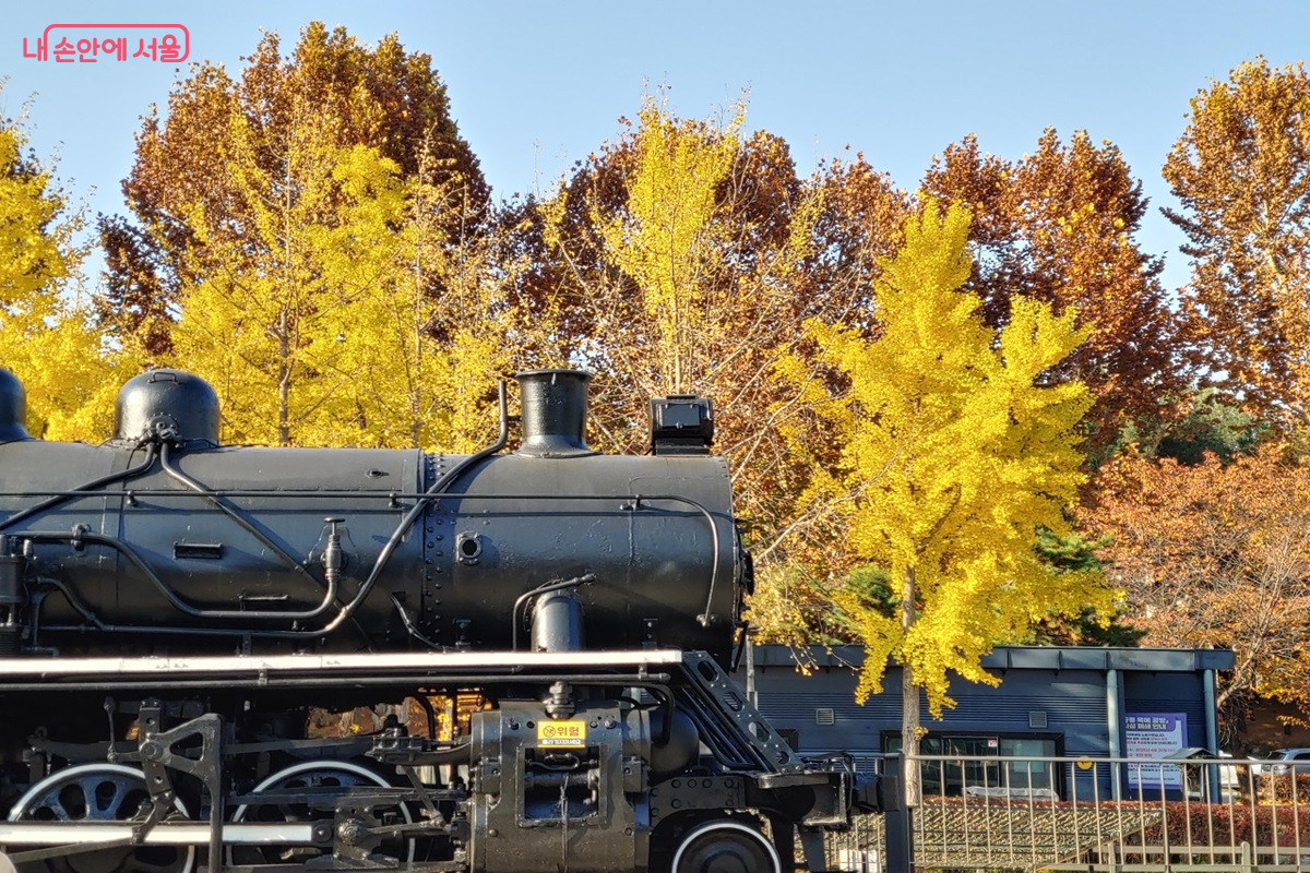기관차 주변으로 단풍이 곱게 물들었다. ©김병규