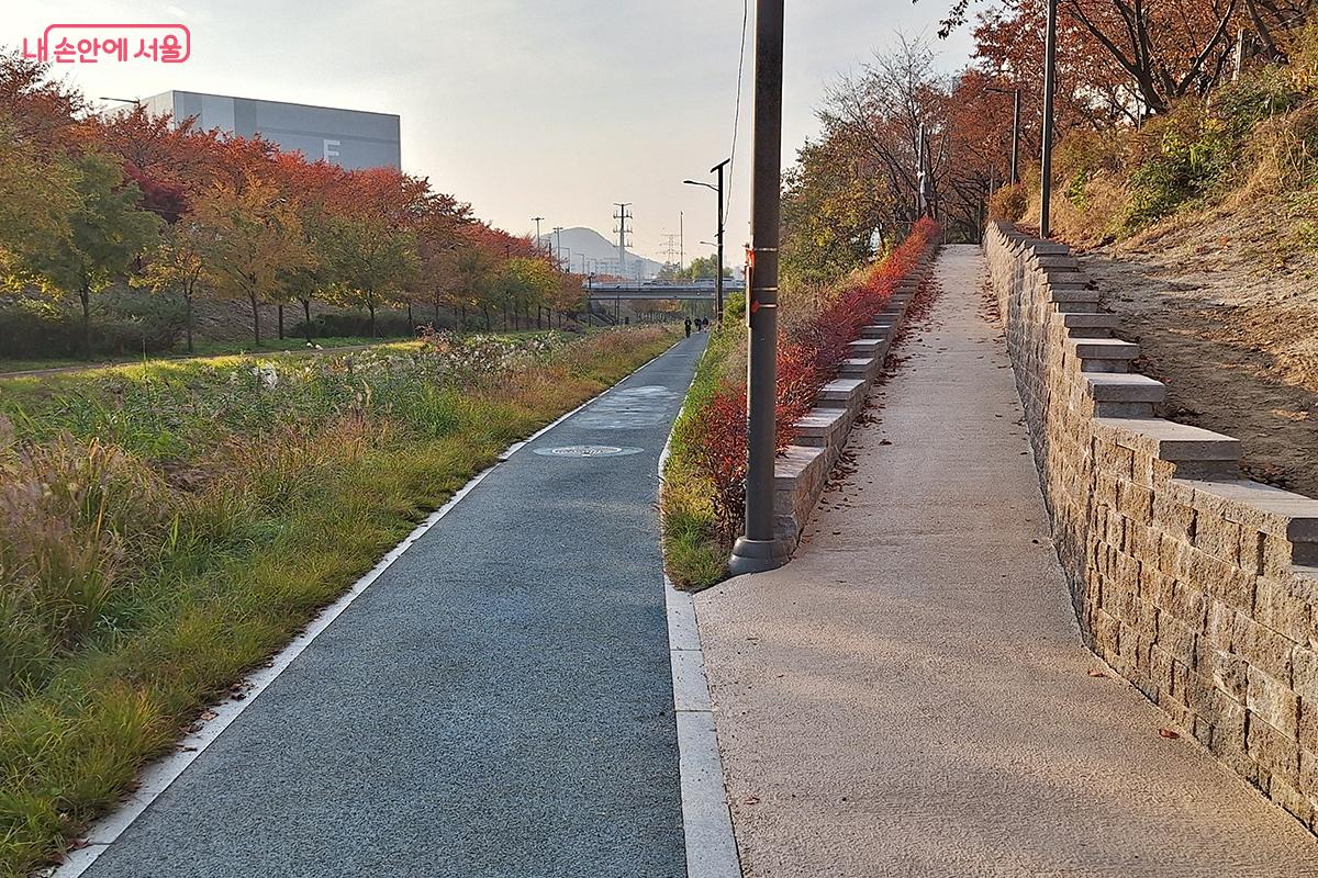 하천과 인도를 잇는 계단도 돌과 나무로 깔끔하게 정돈되어 보기 좋았다. ©이혜숙
