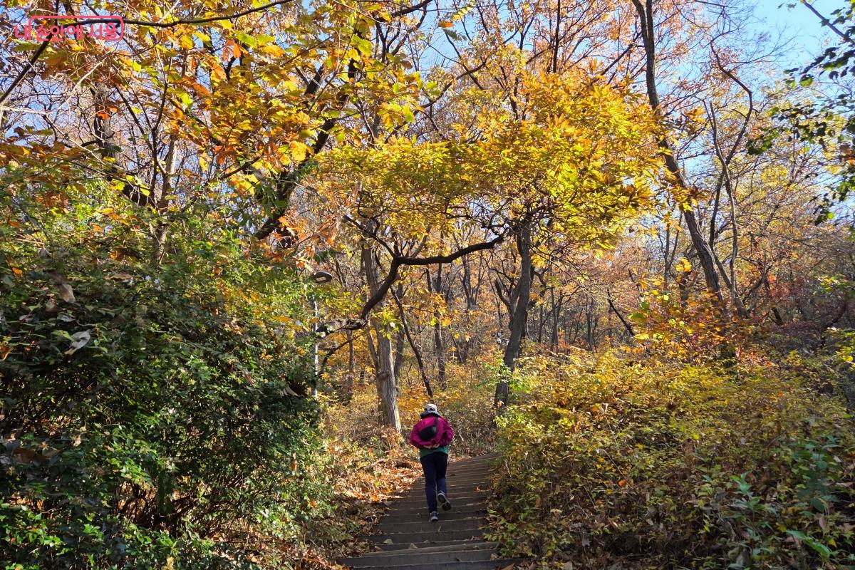 깔딱고개 쉼터까지 나무 계단을 올라가야 했다. ©김미선