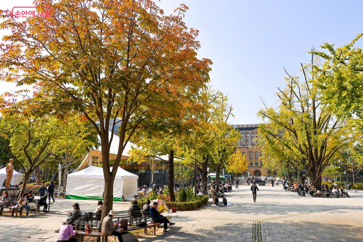 아르코미술관 앞에서 바라본 공원 풍경 ©박성환