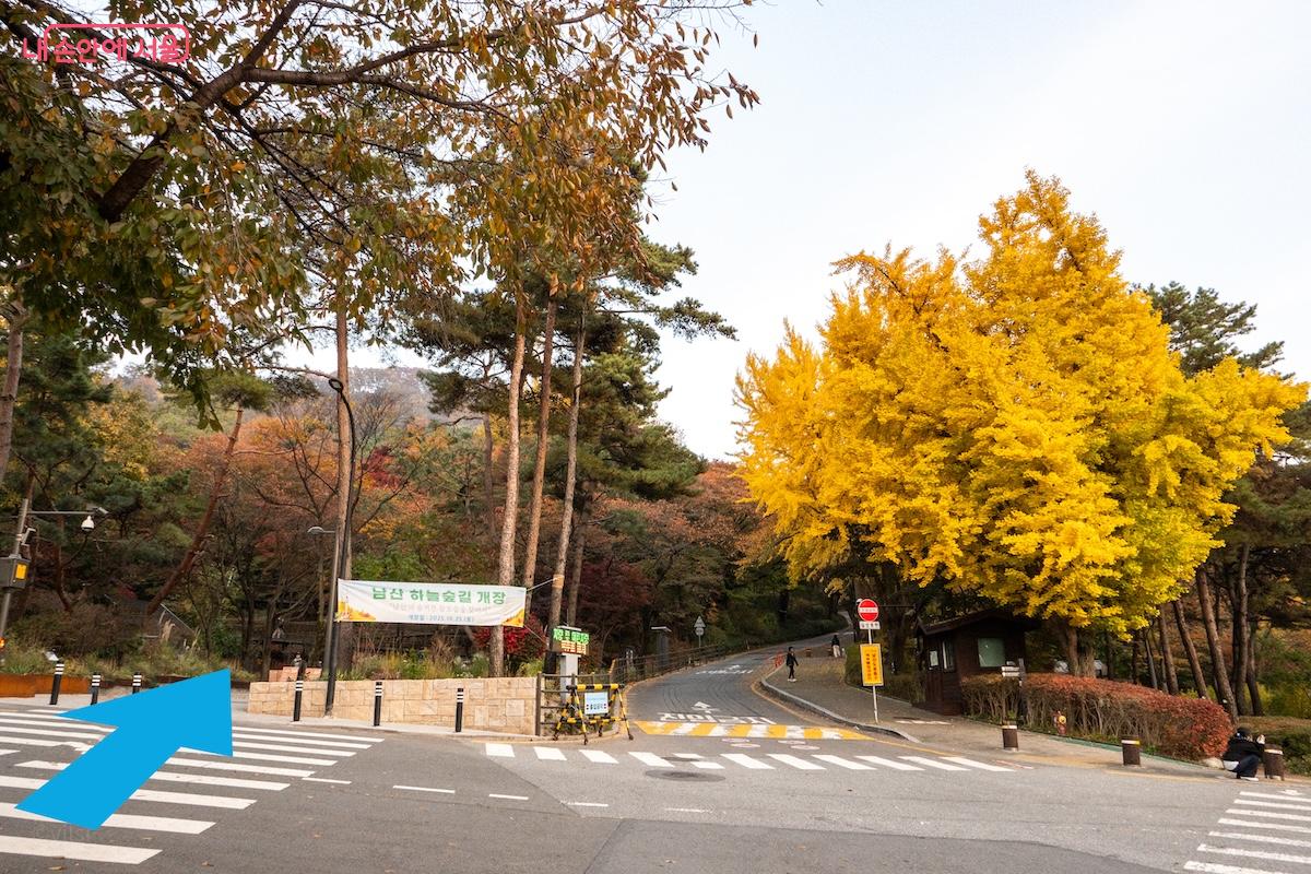남산도서관에서 남산 하늘숲길 소월정원으로 가는 횡단보도 &copy;이진형